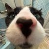 daisyydoodlebop